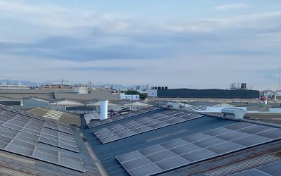 josé Rodrigo e Hijos: Nuestro compromiso con un futuro sostenible