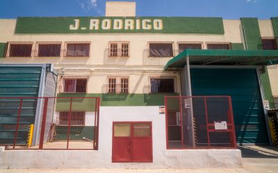 Descubre la esencia de nuestra empresa: Presentamos nuestro nuevo vídeo corporativo